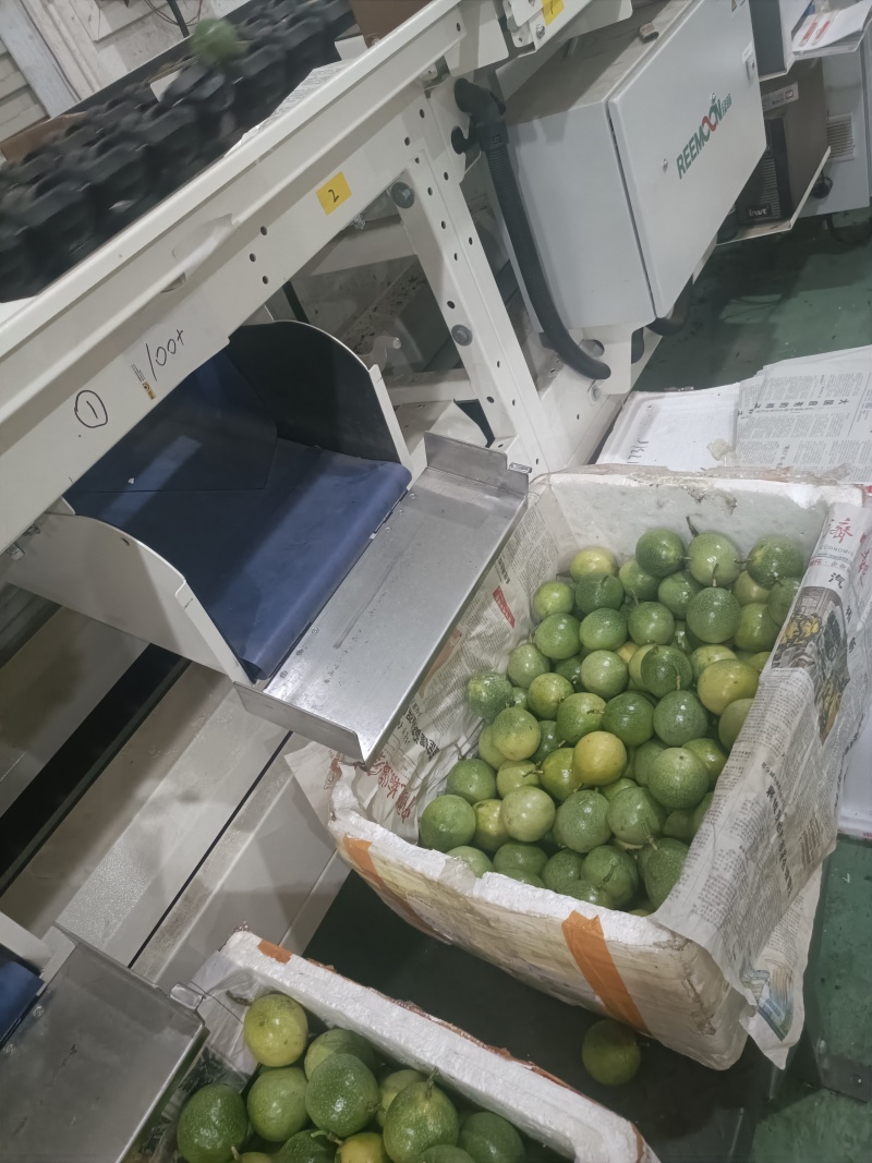广西钦蜜9号百香果电商果含税包售后全规格一件代发