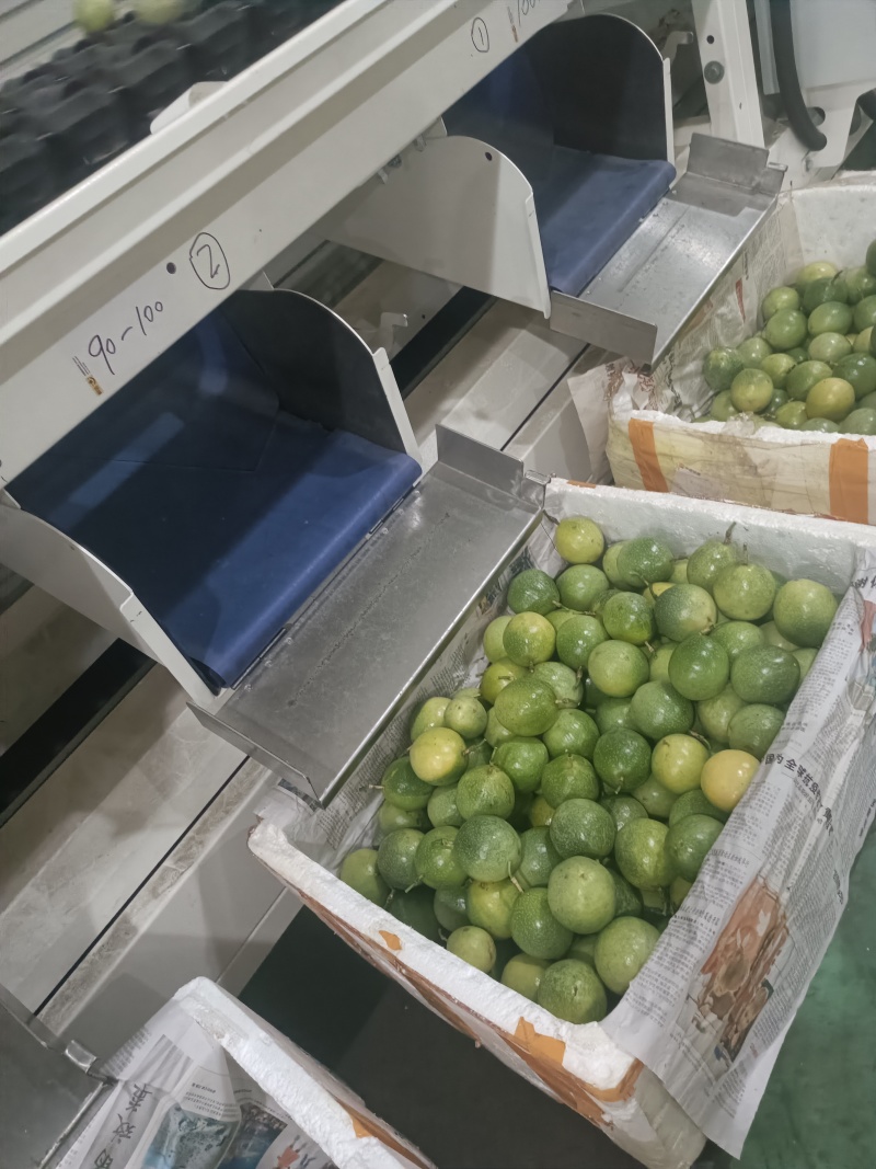广西钦蜜9号百香果电商果含税包售后全规格一件代发