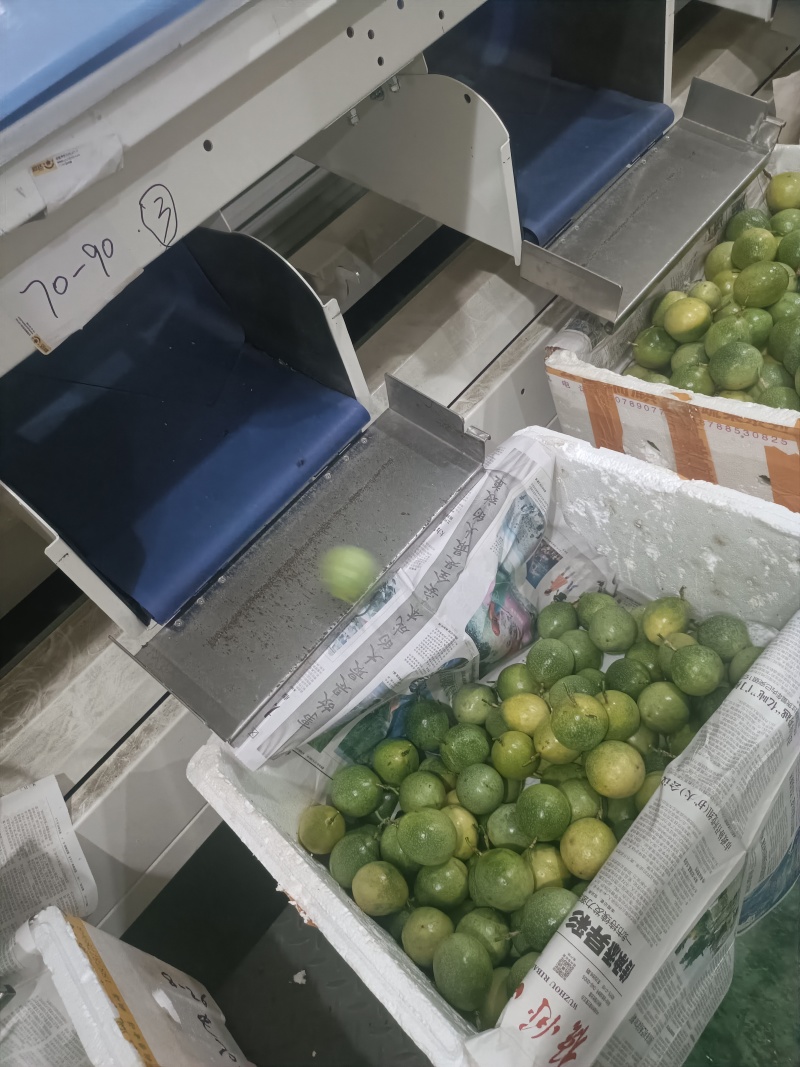 广西钦蜜9号百香果电商果含税包售后全规格一件代发