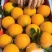 爱媛果冻橙，耙耙柑，不知火