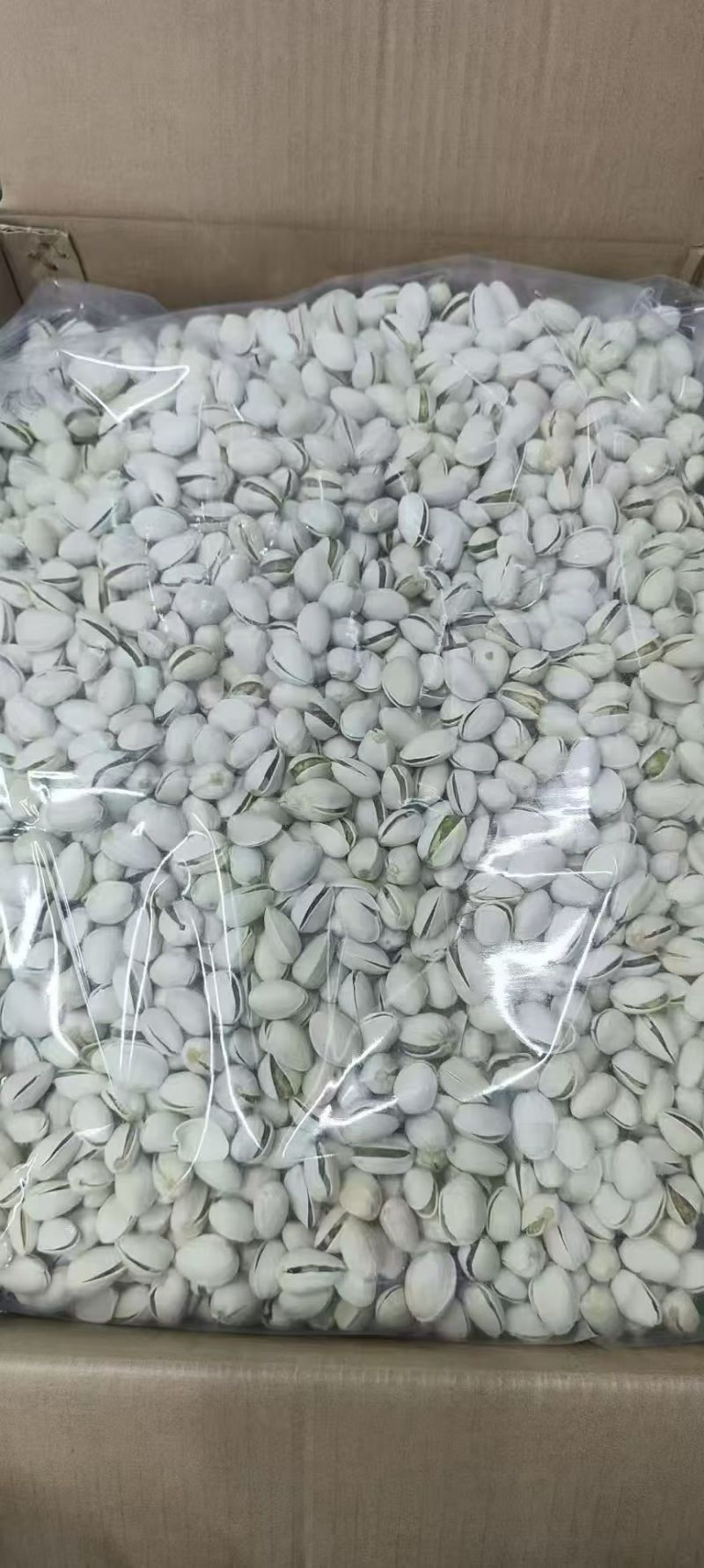 专业坚果供应链，开心果大果大量现货，接代发、批发拿货。