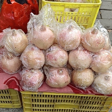 石磂
