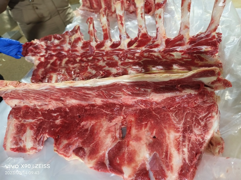 肉脊骨