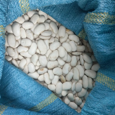 大货