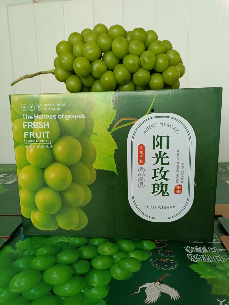 精品阳光玫瑰葡萄