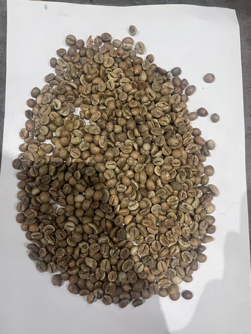 乌干达罗布斯塔日晒12-18目