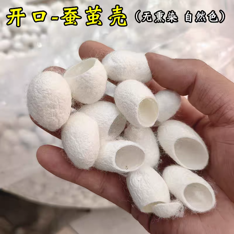 天然烘干桑蚕茧单宫带蛹可抽丝蚕丝扇DIY材料包(完整