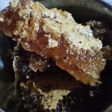 土蜂蜜