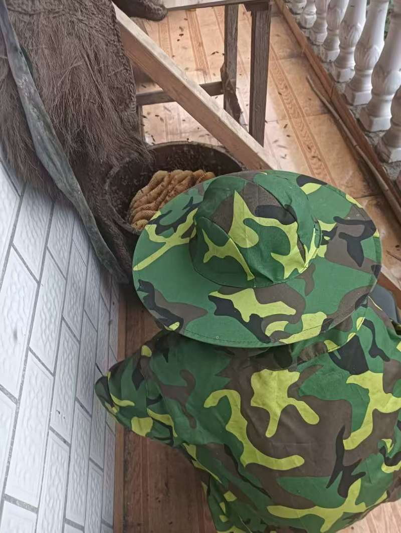 土蜂蜜
