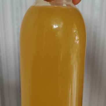 贵州特产刺梨原汁