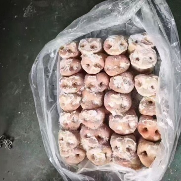 去骨猪拱鼻40—50，50—55