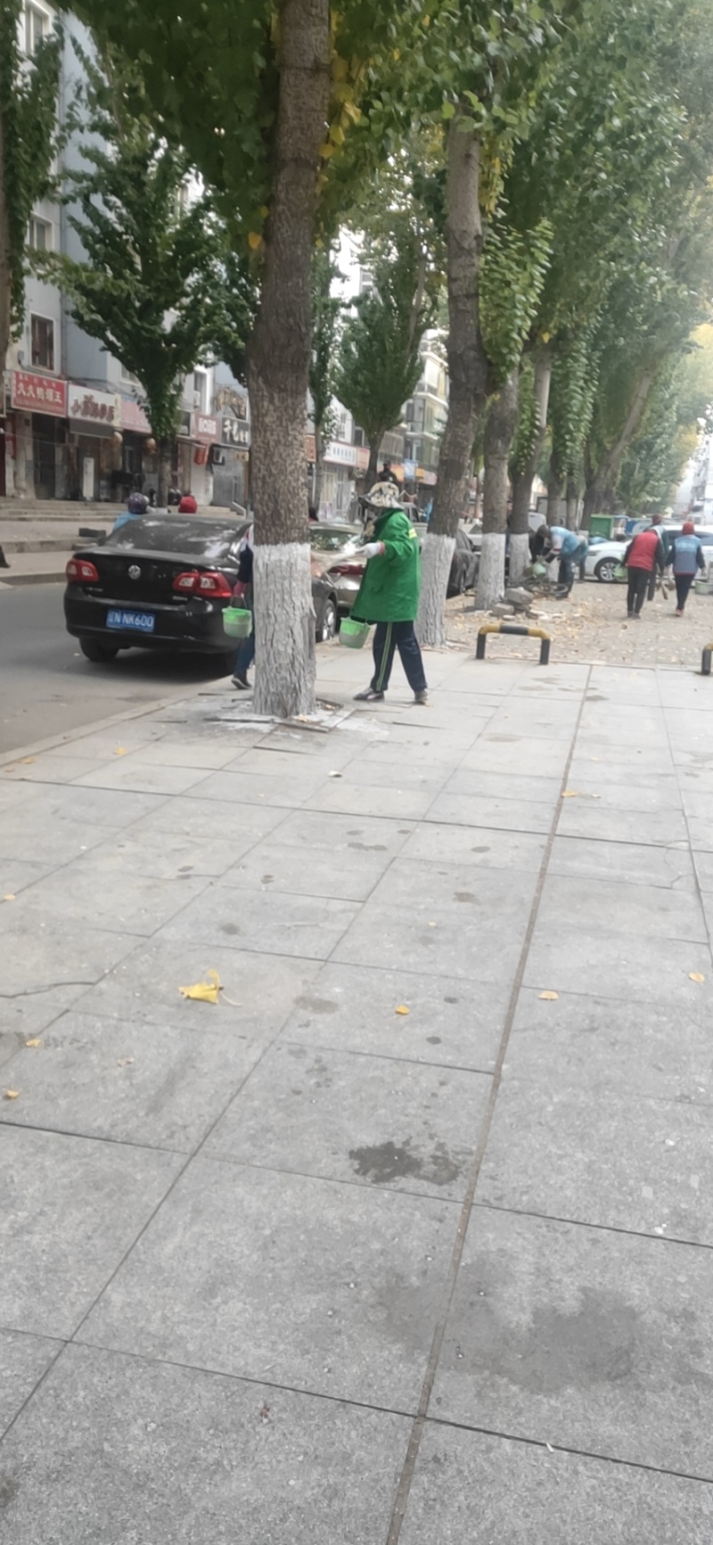 白衣护专业树木涂白剂