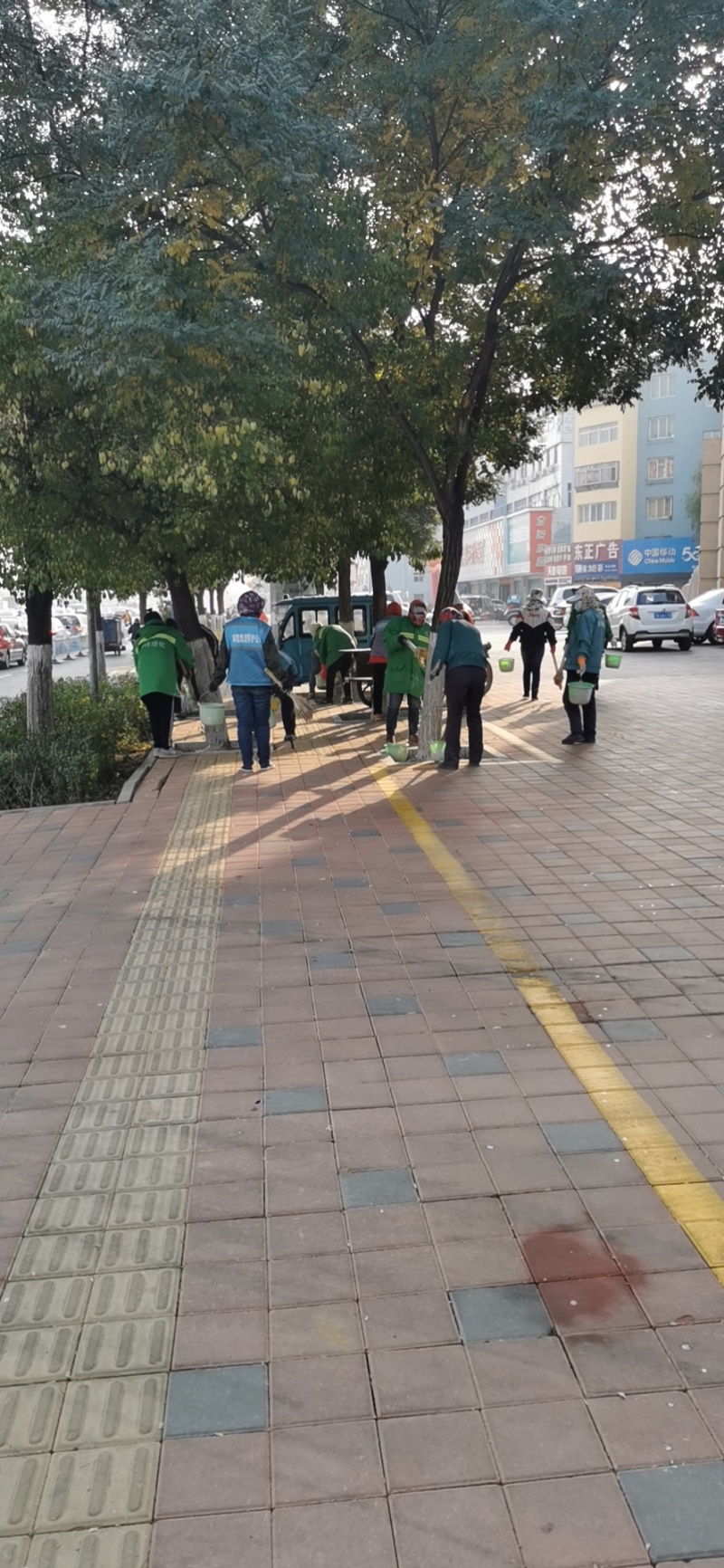 白衣护专业树木涂白剂