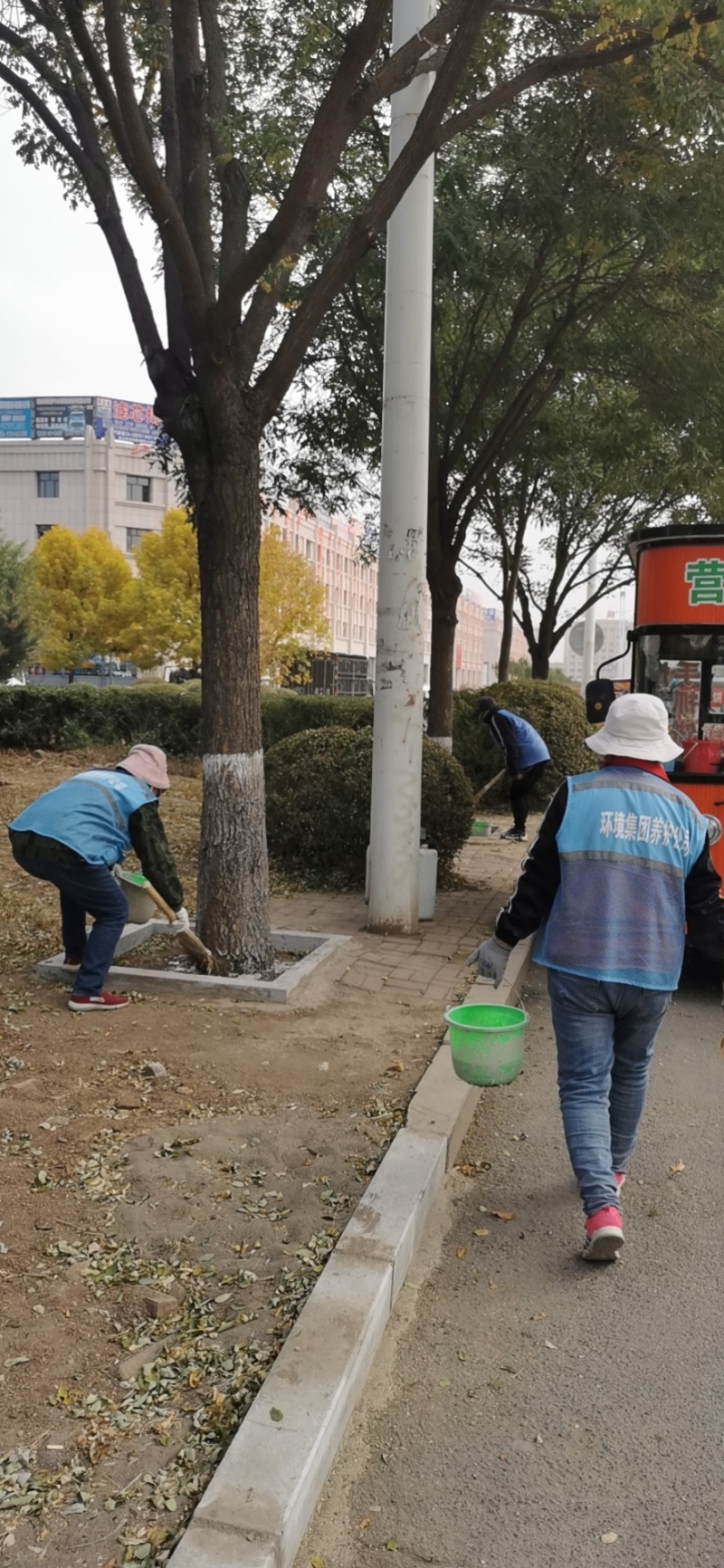 白衣护专业树木涂白剂