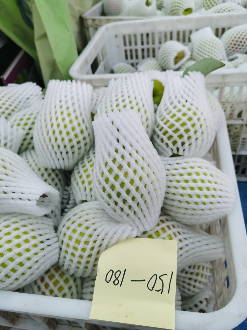 库尔勒香梨特大果，单果150克-180克，5公斤一箱