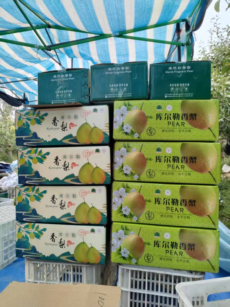 库尔勒香梨，特级大果，单果重120克-150克