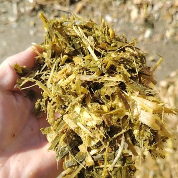 秸秆黄储