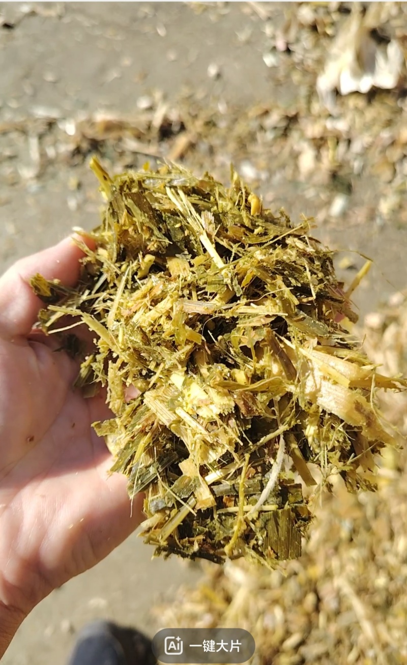 秸秆黄储