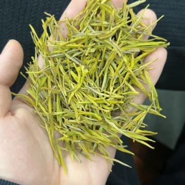 黄金芽毛峰