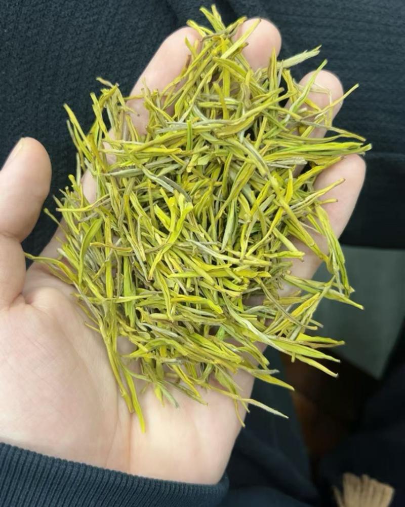 黄金芽毛峰
