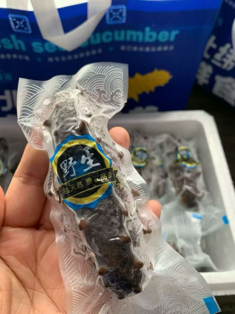 威海刘公岛大海参8头，独立包装，半野生！只要90多