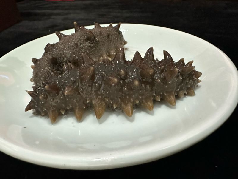 威海刘公岛大海参8头，独立包装，半野生！只要90多