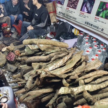 根子药