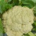 白面青梗有机花菜