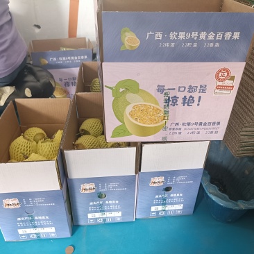 广西钦蜜9号百香果电商果3斤，5斤一件代发