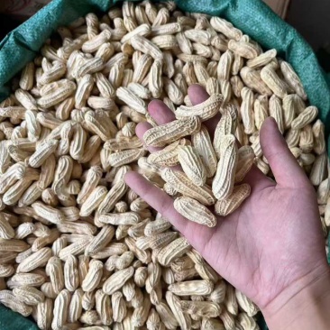 孟连牛油果七彩花生