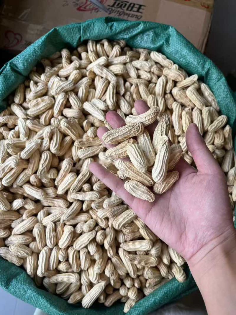 孟连牛油果七彩花生