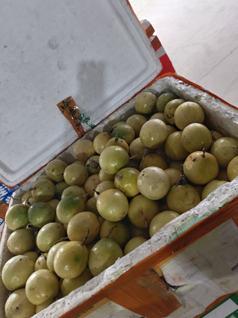 广西钦蜜9号百香果高次果
