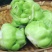 预售青菜头（榨菜）