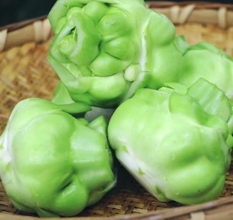 预售青菜头（榨菜）