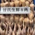 供港鹧鸪冷冻白条厂家直批支持样品一件代发