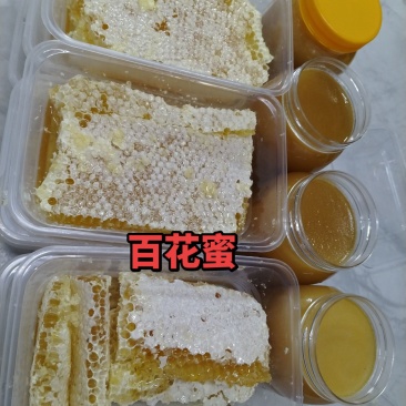土蜂蜜