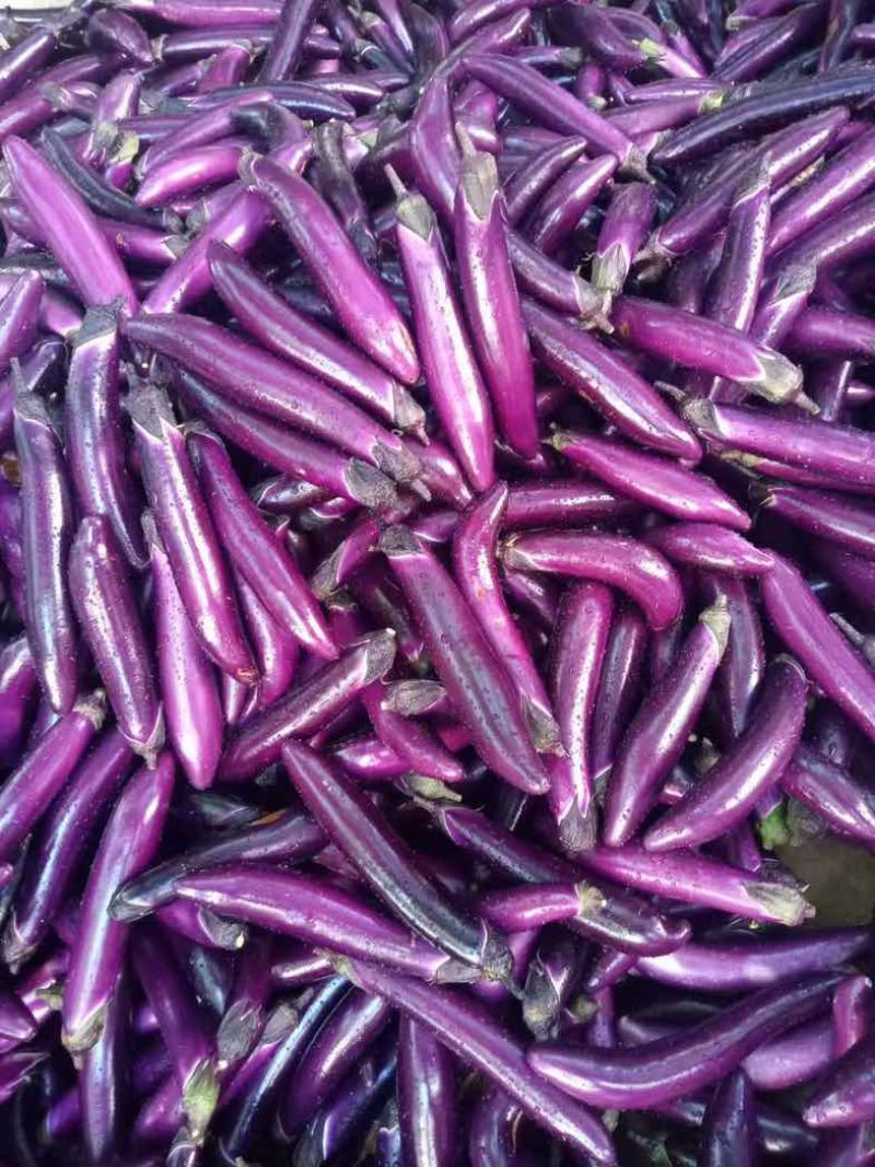 茄子🍆
