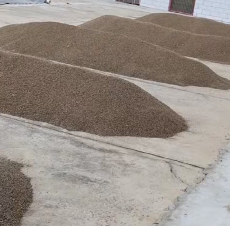 麻子
