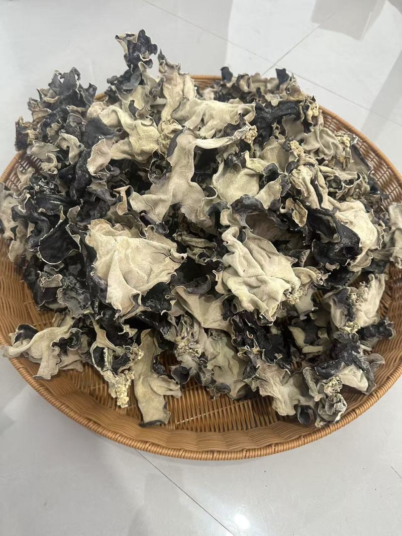 山东干货白背毛木耳