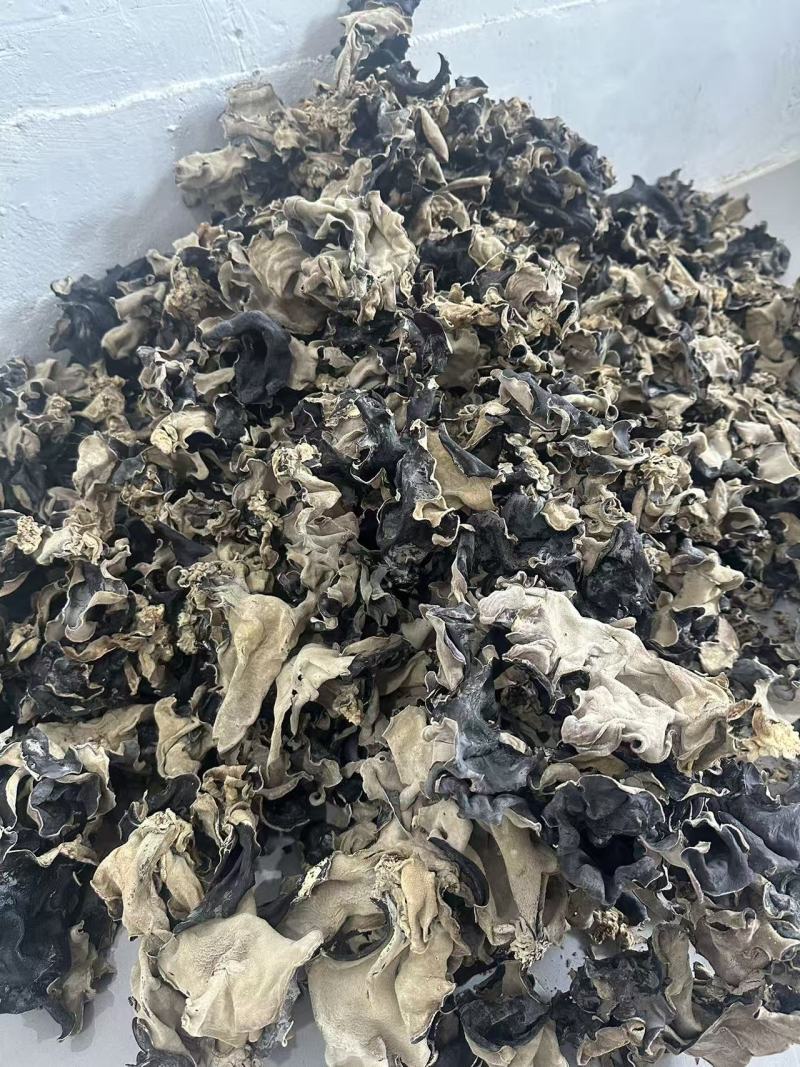 山东干货白背毛木耳