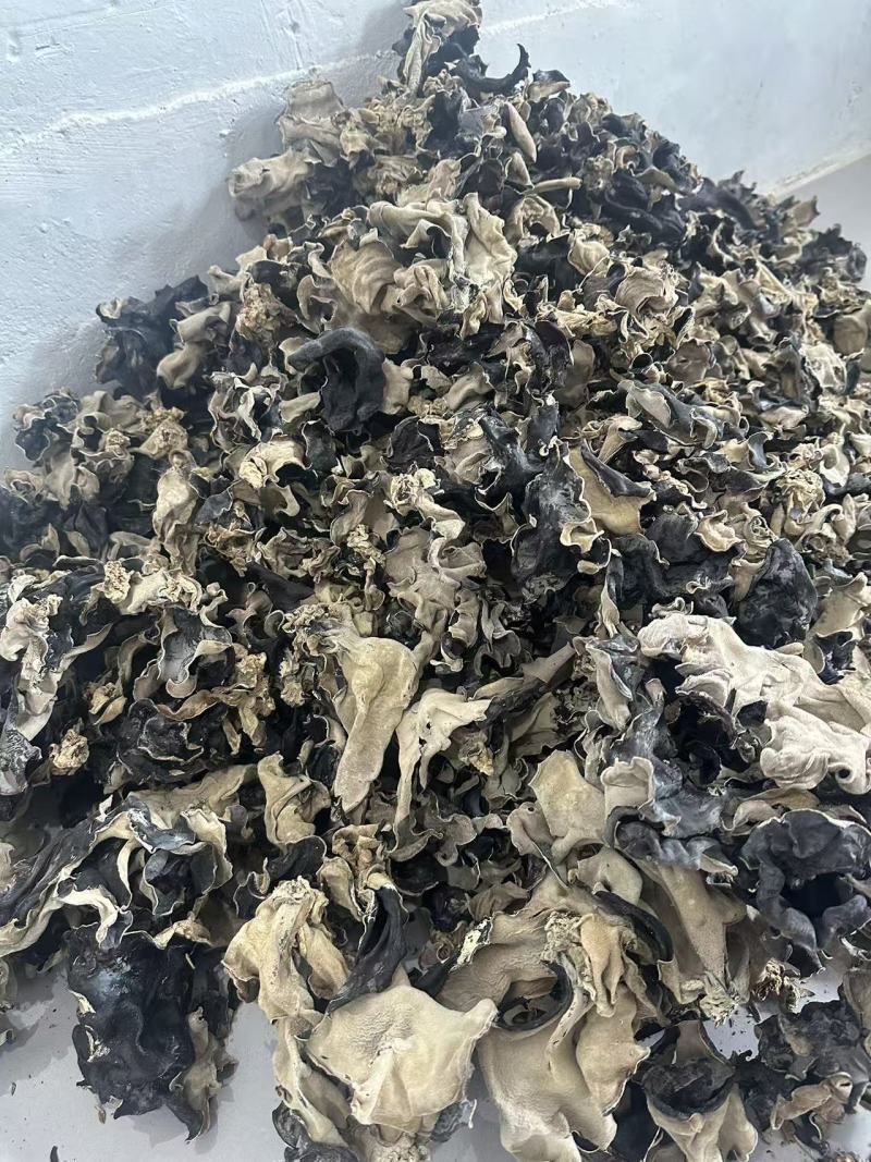 山东干货白背毛木耳