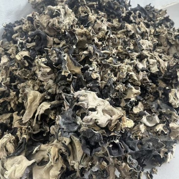 山东干货白背毛木耳