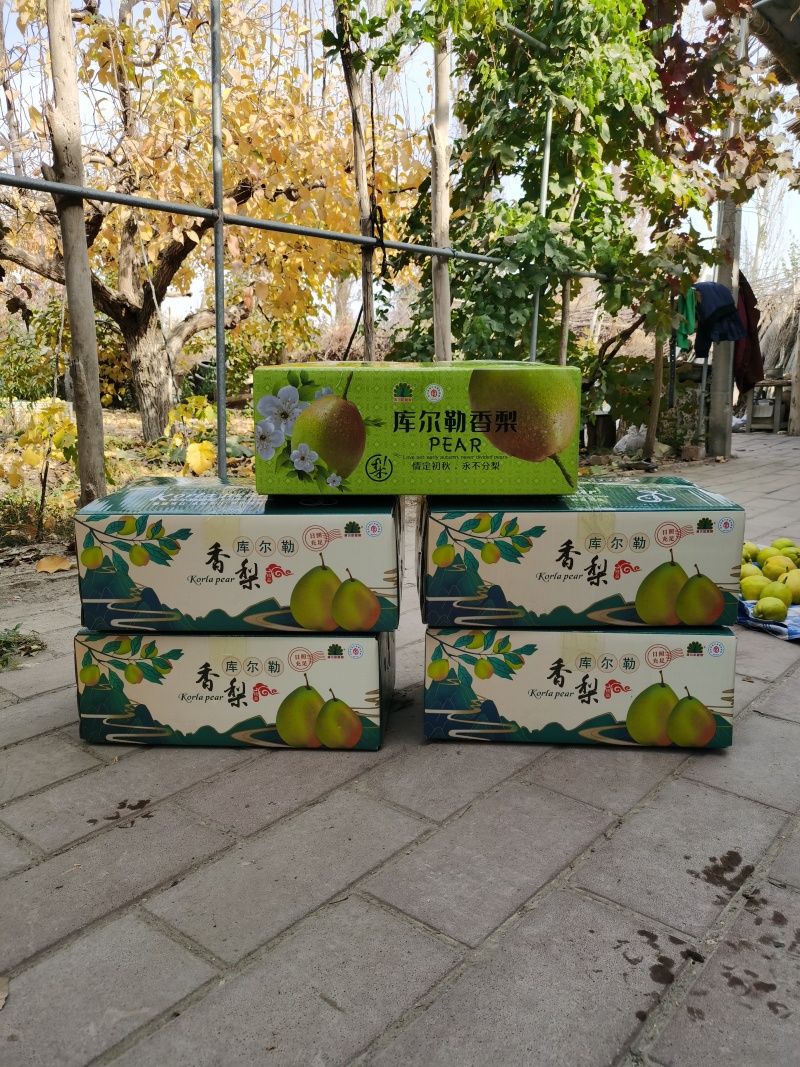 库尔勒香梨一级果，10斤装