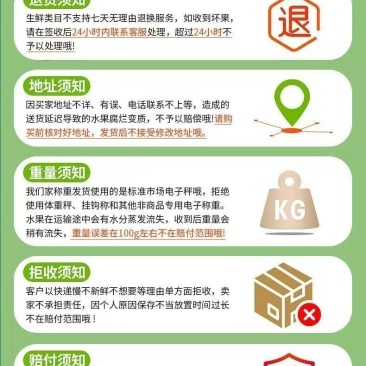 张沾化冬枣