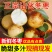 张沾化冬枣