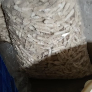 贵州红托竹荪