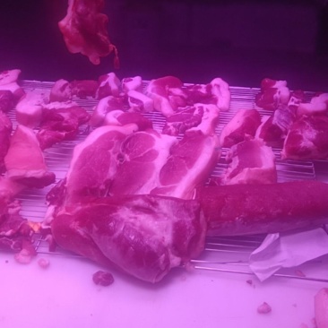 冻猪肉