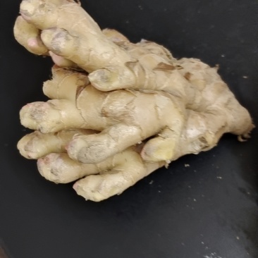 江西赣州安远小黄姜