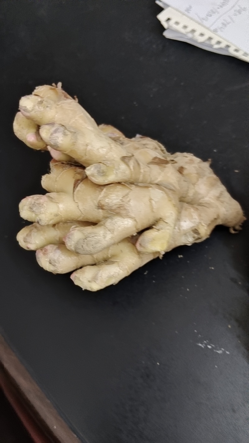 江西赣州安远小黄姜