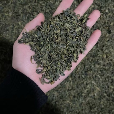 绿茶